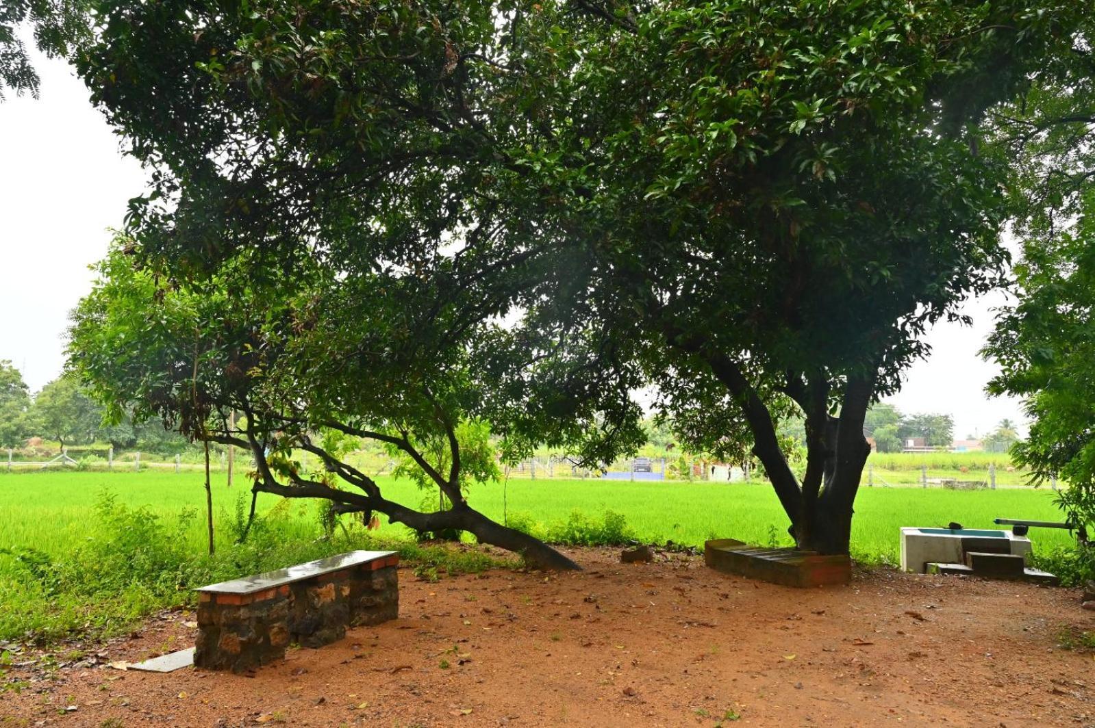 Pathayam Inn Tiruvannāmalai エクステリア 写真